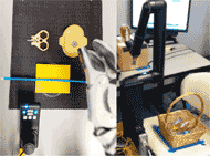 The left picture shows the setup for pick up mouth stick. The mouse stick is placed on top of the pad. The right picture shows the setup for lift the basket onto an elevated surface. The basket is located on the side of the ARM with three bottles of water inside. 